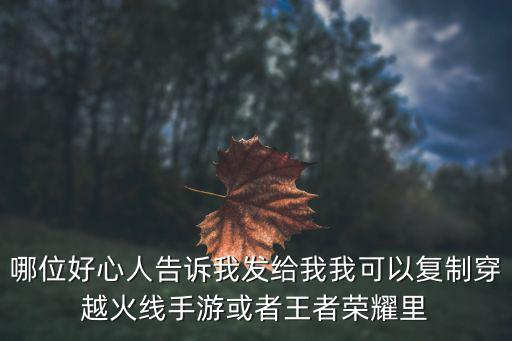 穿越火线手游名字怎么带花，穿越火线枪战王者手游这中的名字怎么使用特殊符号两边像花瓣的那