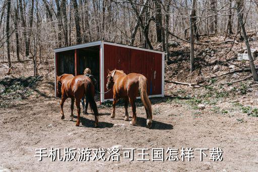 手机版游戏洛可王国怎样下载