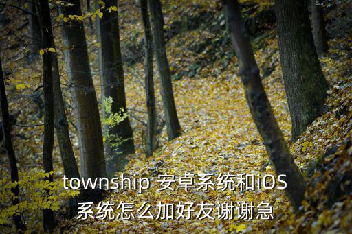 township 安卓系统和iOS系统怎么加好友谢谢急