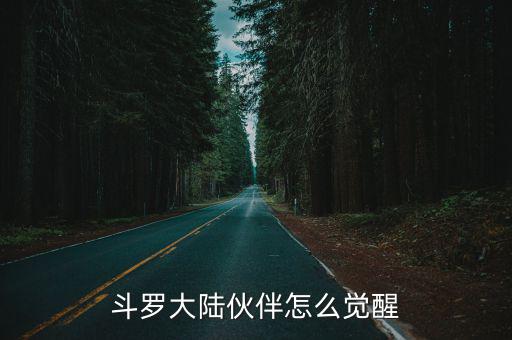 斗罗大陆伙伴怎么觉醒