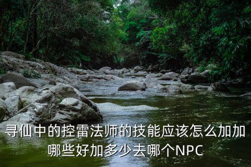 寻仙中的控雷法师的技能应该怎么加加哪些好加多少去哪个NPC