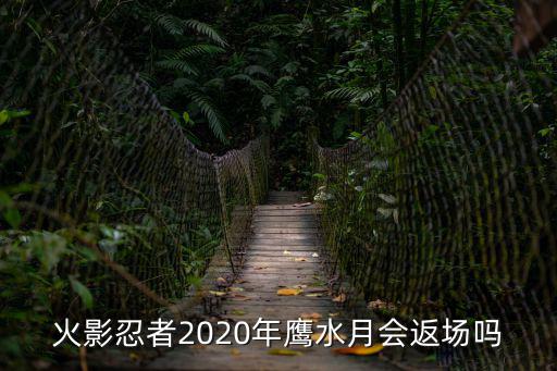 火影忍者手游鹰水月怎么出，火影忍者2020年鹰水月会返场吗