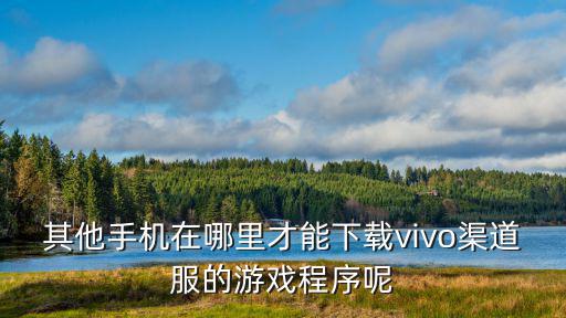 其他手机在哪里才能下载vivo渠道服的游戏程序呢