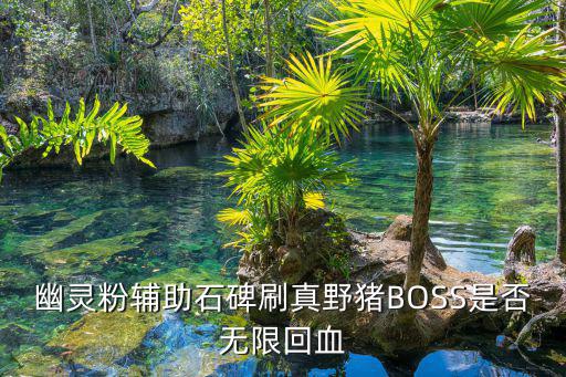 幽灵粉辅助石碑刷真野猪BOSS是否无限回血