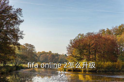 fifa online 2怎么升级快