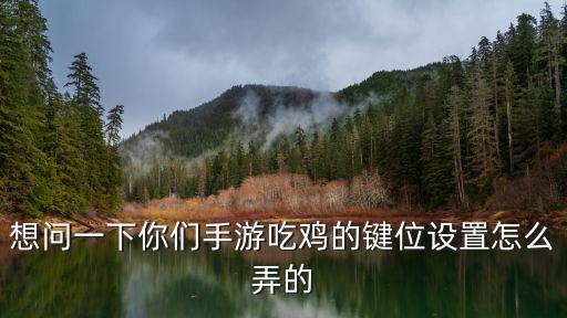 想问一下你们手游吃鸡的键位设置怎么弄的