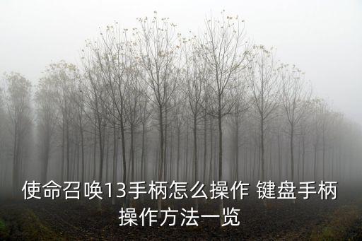 使命召唤13手柄怎么操作 键盘手柄操作方法一览