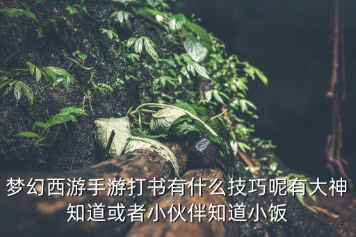 梦幻西游手游打书有什么技巧呢有大神知道或者小伙伴知道小饭