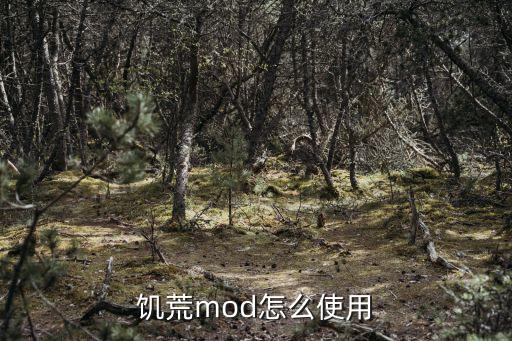 饥荒mod怎么使用