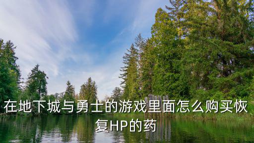 在地下城与勇士的游戏里面怎么购买恢复HP的药