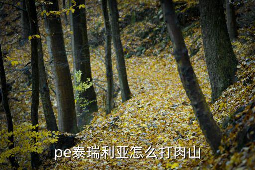 pe泰瑞利亚怎么打肉山