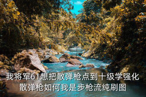 我将军61想把散弹枪点到十级学强化散弹枪如何我是步枪流纯刷图