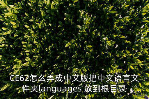 CE62怎么弄成中文版把中文语言文件夹languages 放到根目录