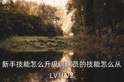 新手技能怎么升级啊球员的技能怎么从LV1LV2