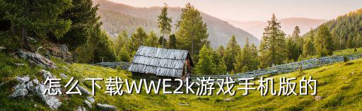 怎么下载WWE2k游戏手机版的