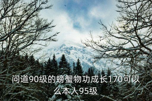 问道90级的螃蟹物功成长170可以么本人95级