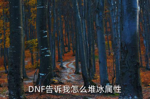 DNF告诉我怎么堆冰属性