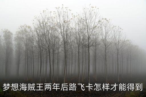 梦想海贼王两年后路飞卡怎样才能得到