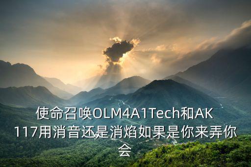 使命召唤OLM4A1Tech和AK117用消音还是消焰如果是你来弄你会