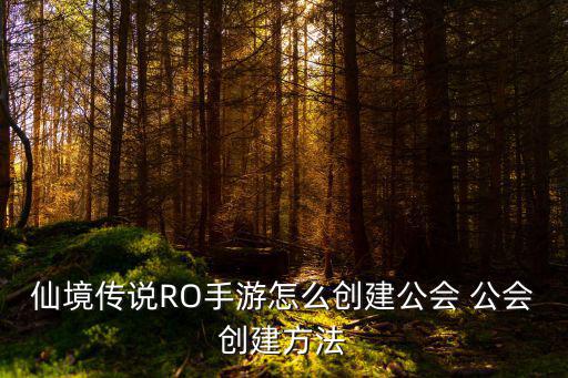 仙境传说RO手游怎么创建公会 公会创建方法