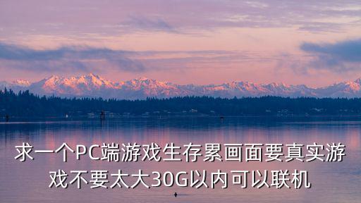 求一个PC端游戏生存累画面要真实游戏不要太大30G以内可以联机