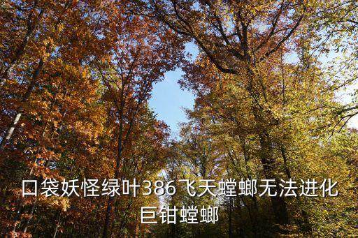 口袋妖怪绿叶386飞天螳螂无法进化巨钳螳螂