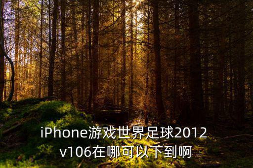 iPhone游戏世界足球2012 v106在哪可以下到啊