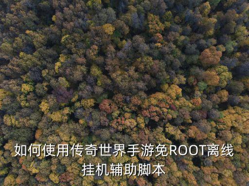 如何使用传奇世界手游免ROOT离线挂机辅助脚本