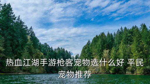 热血江湖手游枪客宠物选什么好 平民宠物推荐