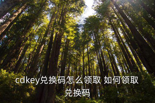 cdkey兑换码怎么领取 如何领取兑换码