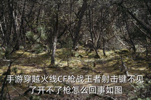 手游穿越火线CF枪战王者射击键不见了开不了枪怎么回事如图