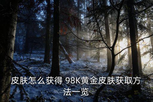 皮肤怎么获得 98K黄金皮肤获取方法一览