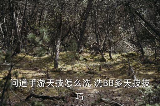 问道手游天技怎么洗 洗BB多天技技巧