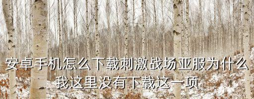 安卓手机怎么下载刺激战场亚服为什么我这里没有下载这一项