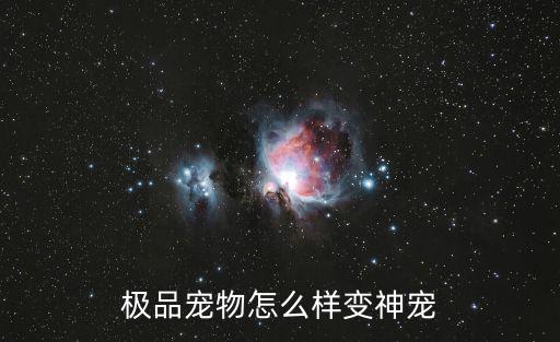 完美世界手游极品宠物怎么样，11月登录20天送的极品宠物怎么样