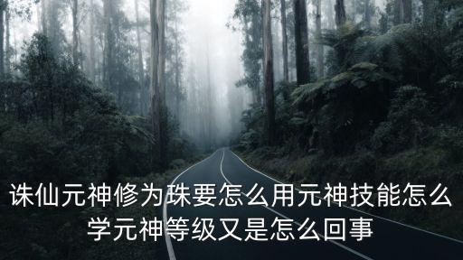 诛仙手游元神技能怎么选，诛仙元神修为珠要怎么用元神技能怎么学元神等级又是怎么回事