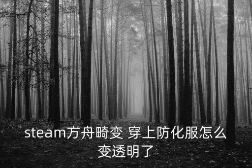 steam方舟畸变 穿上防化服怎么变透明了