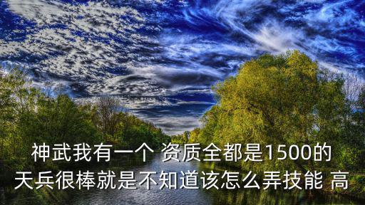 神武我有一个 资质全都是1500的天兵很棒就是不知道该怎么弄技能 高