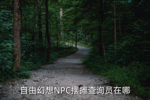 自由幻想NPC摆摊查询员在哪