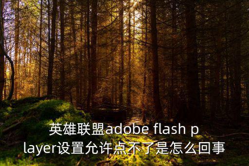 英雄联盟adobe flash player设置允许点不了是怎么回事