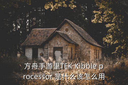 方舟手游里TEK Kibble processor 是什么该怎么用