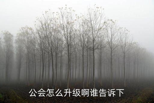 公会怎么升级啊谁告诉下