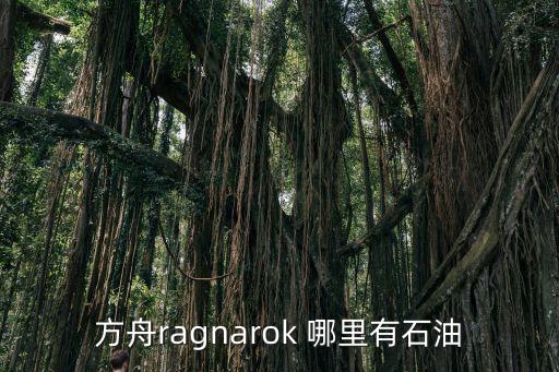 方舟ragnarok 哪里有石油