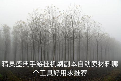 精灵盛典手游挂机刷副本自动卖材料哪个工具好用求推荐