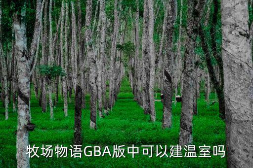 牧场物语GBA版中可以建温室吗