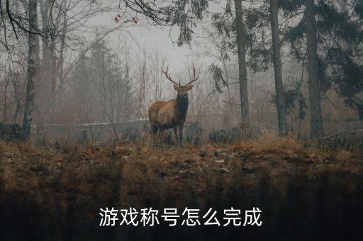 游戏称号怎么完成