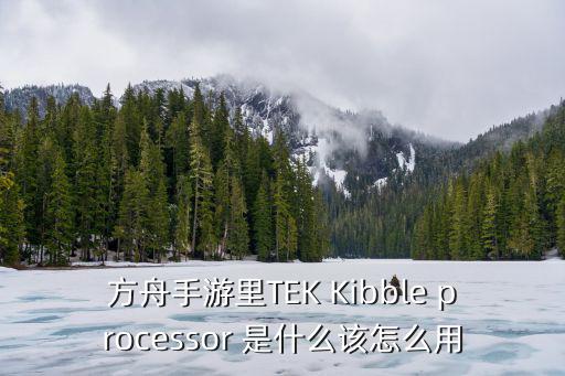 方舟手游里TEK Kibble processor 是什么该怎么用