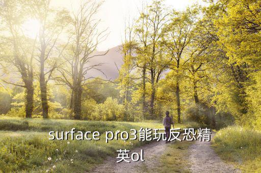 surface pro3能玩反恐精英ol