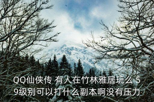 QQ仙侠传 有人在竹林雅居玩么 59级别可以打什么副本啊没有压力