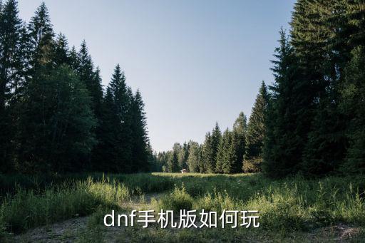 dnf手机版如何玩